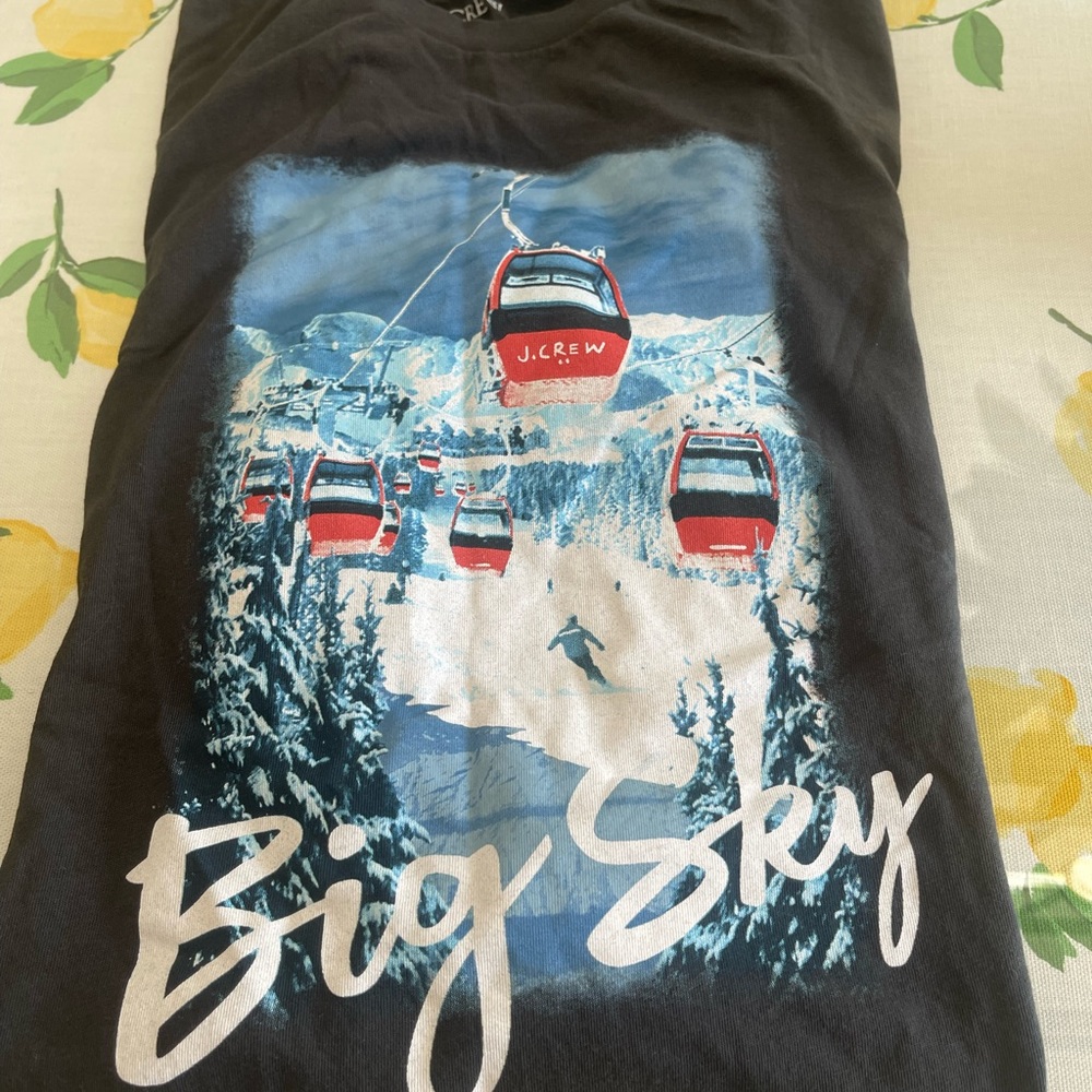 J Crew tee men medium Excellent